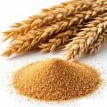 Солод